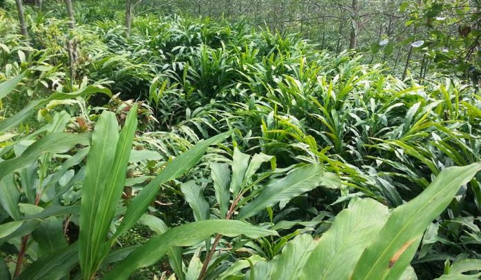 alainchi_photo_BClkZ7eBh7