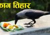 आज देखि यमपञ्चक अर्थात् तिहार शुरु, आज कागतिहार