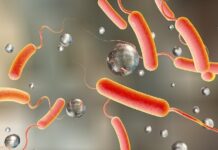 वीरगञ्जमा हैजाको प्रकोप : ६ दिनमै २२६ संक्रमित