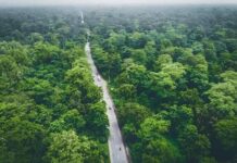 नेपालले कार्बन साझेदारी कोषबाट पायो एक अर्ब १९ करोड रुपैँया