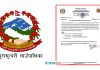 त्रिपुरासुन्दरी गाउँपालिकामा निःशुल्क कुकुर बन्ध्याकरण शिविर सञ्चालन हुने
