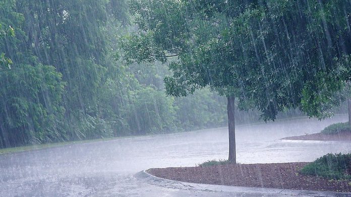 heavy_rain_jpg-11