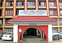 विद्युत् प्राधिकरणको नाफामा गिरावट, आम्दानी भने बढ्यो