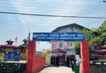 बाढीले थलिएको धादिङको अर्थतन्त्र उकास्न उद्योग वाणिज्य संघको पाँचबुँदे माग