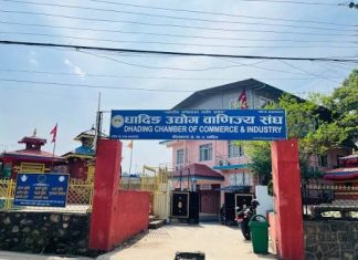 बाढीले थलिएको धादिङको अर्थतन्त्र उकास्न उद्योग वाणिज्य संघको पाँचबुँदे माग